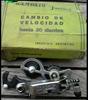 Gambato Juniors