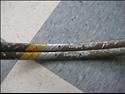 Campagnolo Victory Crono