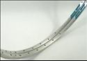 Campagnolo Gamma Strada