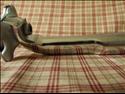 Campagnolo C-Record (Aero type, 210mm)