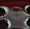 Nervar spoke protector