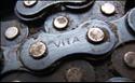 Vita