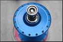 Campagnolo pista/track hubs